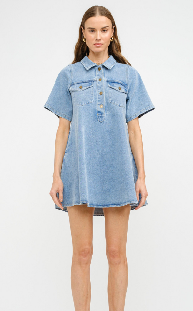 Paloma Denim Dress