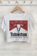 Load image into Gallery viewer, Yellowstone Established 1872 Graphic
