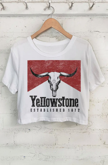Yellowstone Established 1872 Graphic